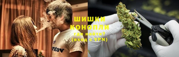 PSILOCYBIN Богородск
