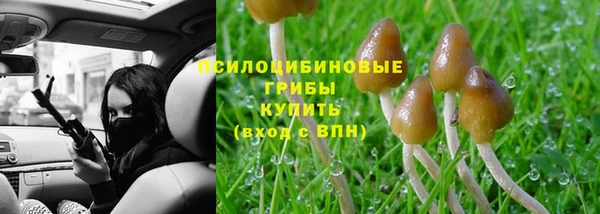 винт Богородицк