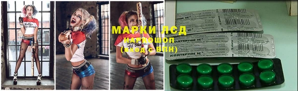 PSILOCYBIN Богородск